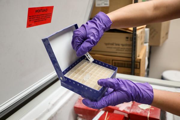 Student putting a test tube in a box